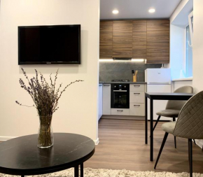 Cozy Studio Apartment in the City Center